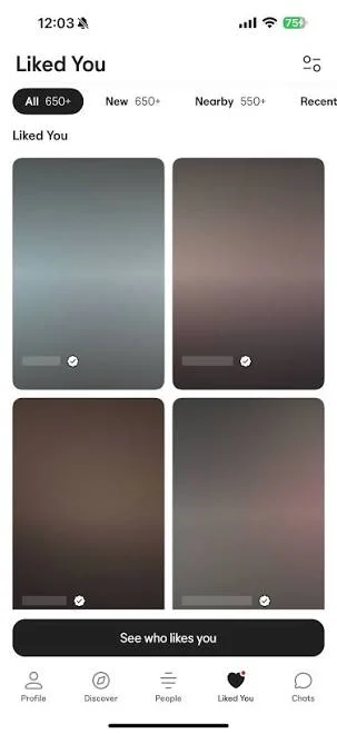 Dating-app screenshot with names and photos obscured