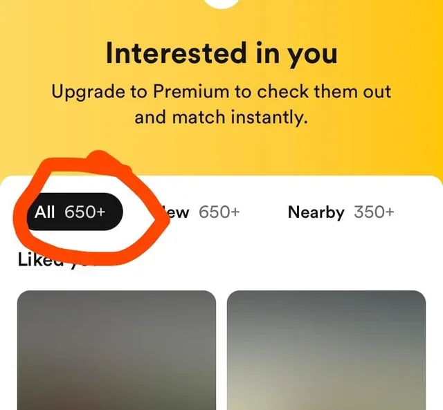 Dating-app screenshot with names and photos obscured